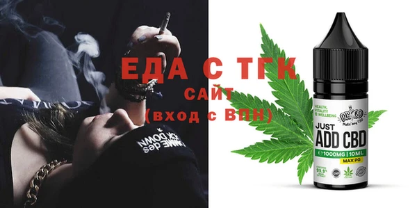 мдпв Гусев