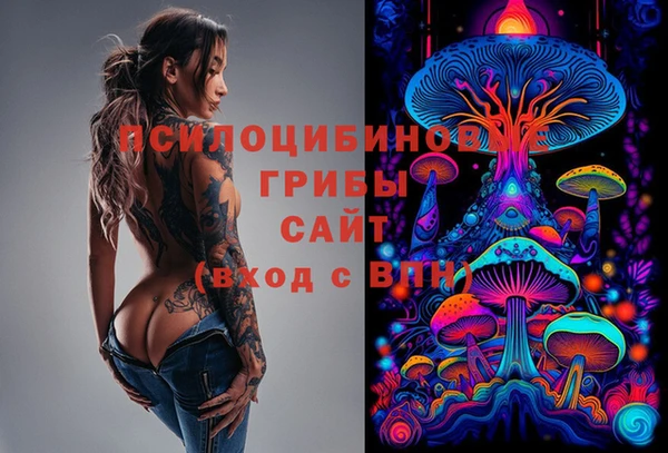 соль курить ск Осинники