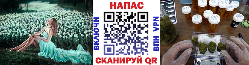 где купить   Анадырь  Канабис семена 